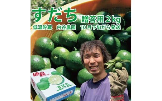 内谷農園 低温貯蔵すだち 贈答用 2kg