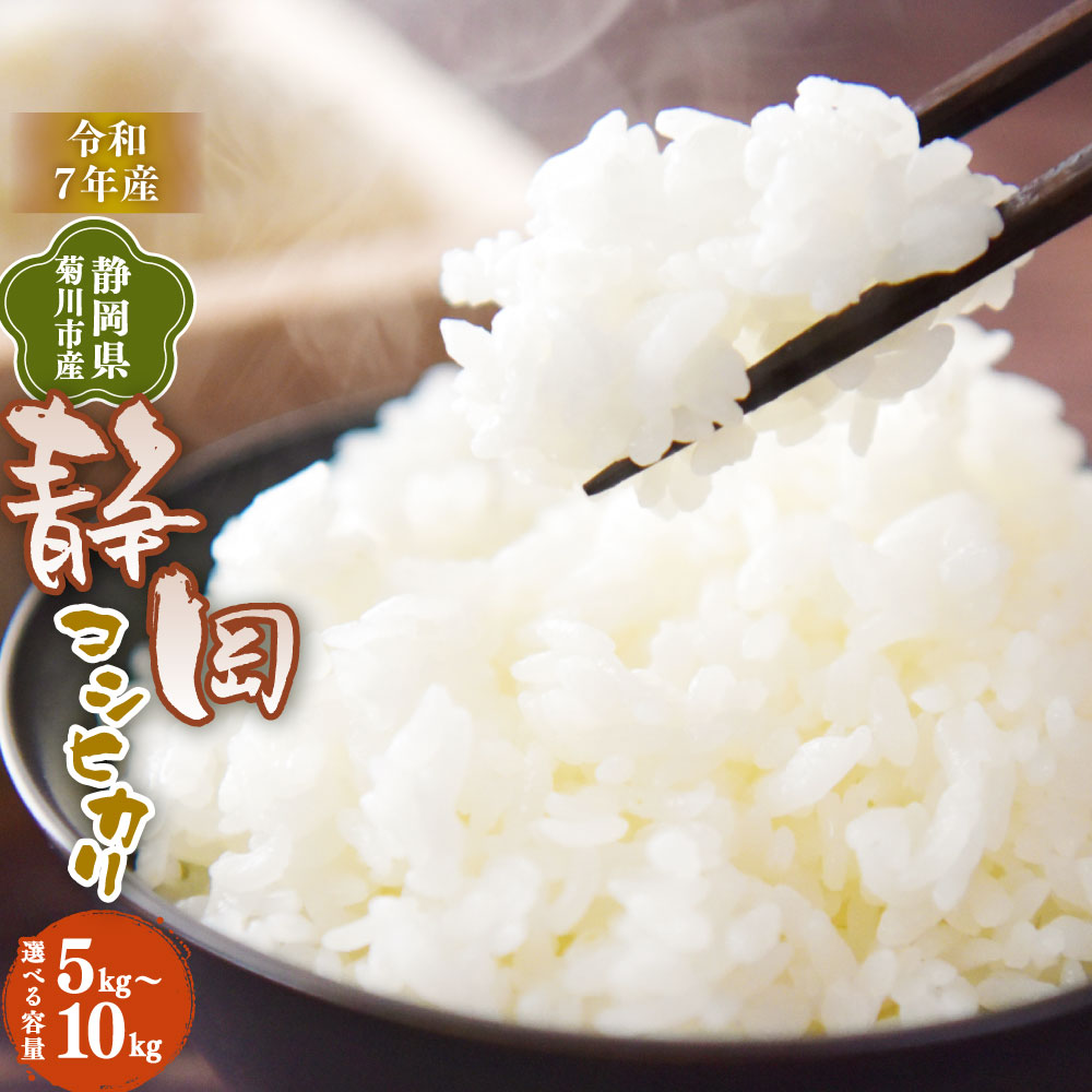 【ふるさと納税】先行予約 ＜選べる発送時期・内容量＞【令和7年産】菊川市産 静岡コシヒカリ 白米 5kg 10kg 米 お米 単一原料米 5キロ 10キロ おにぎり お弁当 静岡県産 国産 静岡県 菊川市 送料無料 【2025年10月上旬～2026年3月下旬発送予定】