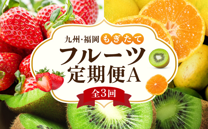  ＜定期便・全3回＞九州・福岡もぎたて フルーツ定期便 A|果物 旬 国産 産地直送 いちご イチゴ 苺 あまおう みかん 蜜柑ミカン 極早生みかん 早味かん キウイキウイ キウイフルーツ キウィフル