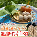 【ふるさと納税】【早期予約】桃山ぶどう園の『ぎんなん(殻付き)』2Lサイズ　約1kg　※北海道・沖縄・離島への配送不可　※2024年11月上旬頃より順次発送予定