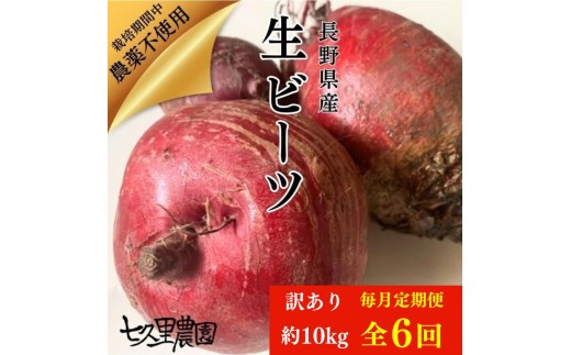 訳あり ビーツ 約10kg【 毎月 6回 定期便 】 | 野菜 ビーツ レッドパワー レッドパワービーツ 定期 長野県 信州 南信州 飯田市