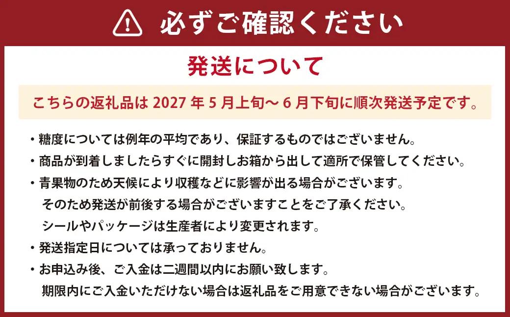 ＜ R8年熊本地震復興支援 ＞熊本産 大玉すいか ラオウザスイート 1玉入り 5kg以上【2027年5月上旬～6月下旬迄順次発送予定】
