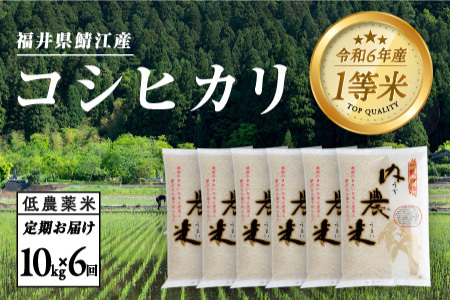 【6ヶ月連続お届け】新米！令和6年産 内農米コシヒカリ定期便 10kg × 6回 計60kg