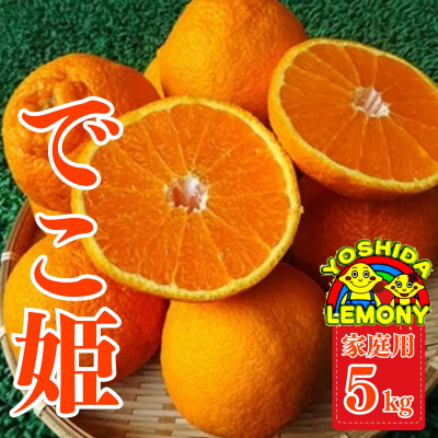 先行予約 不知火 でこ姫5kg(13～22玉) 家庭用【1075192】