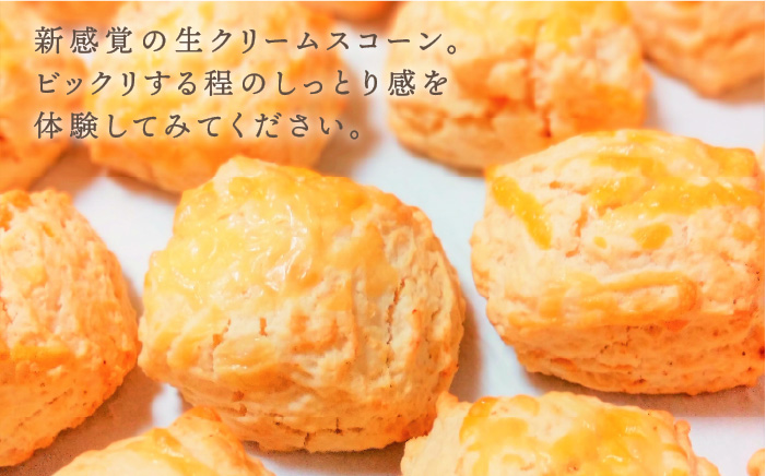 【ご自宅用】明太チーズスコーン 12個セット 『ふくのや』の明太子使用《糸島》【キナフク】 [AFA009]