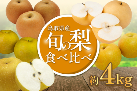 【2026・先行予約】 品種はおまかせ 旬の梨ミックス 4kg｜鳥取 果物 フルーツ なし 梨 2026年収穫後【41041】