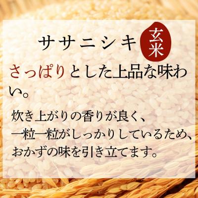 ふるさと納税 東松島市 【 令和7年産】【新米】宮城県産東松島市農家直送 ササニシキ 玄米 20kg × 1袋 |  | 02