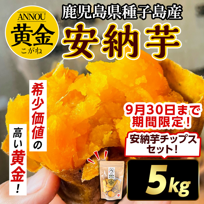 n174 ＜期間・数量限定セット！先行予約受付中！2025年9月下旬頃から12月中の発送予定＞種子島産 安納芋＜黄金＞(5kg)＆安納芋チップス1袋セット 国産 安納芋 黄金 こがね コガネ 種子島 芋 イモ さつま芋 安納いも 野菜 いも さつまいも 【うずえ屋】