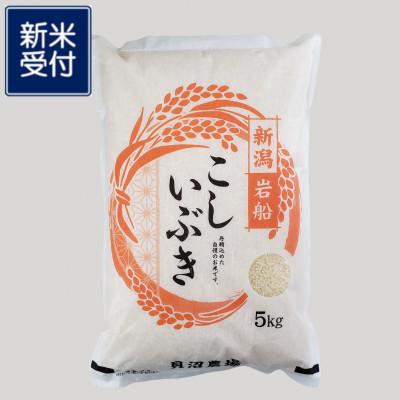 ふるさと納税 村上市 【新米受付・令和7年産米】 こしいぶき 白米5kg(5kg×1袋)新潟県村上市岩船産1067101N
