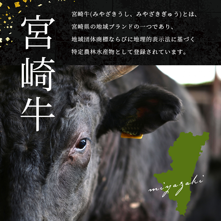 宮崎牛 切り落とし 合計1kg