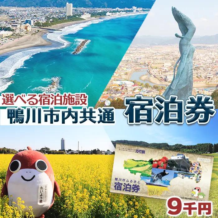 【千葉県鴨川市】市内宿泊施設『共通宿泊券』９千円相当　[0030-0126]