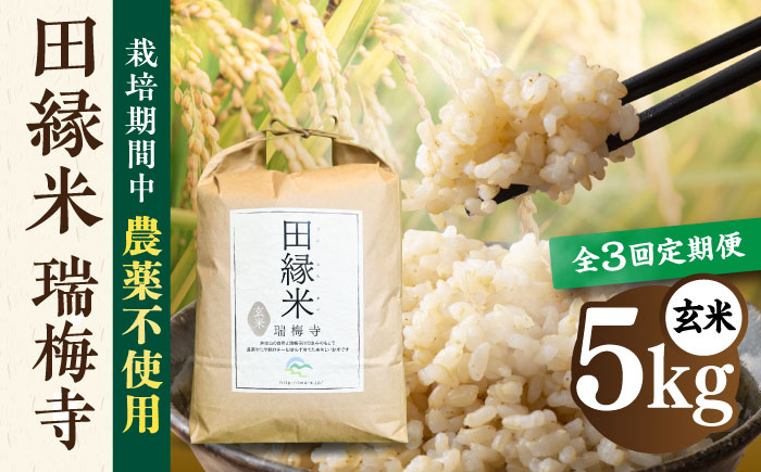 
            【先行受付】【全3回定期便】 田縁米(でんえんまい)・瑞梅寺(ずいばいじ) 玄米 5kg 【2025年11月下旬以降順次発送】 糸島市 / NPO法人田縁プロジェクト 米 玄米 定期便 [ATM008]
          