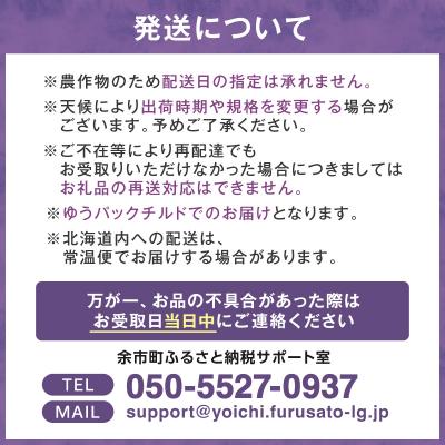 ふるさと納税 余市町 2026年8月中旬より発送　余市の砂川果樹園が贈る【余市の生プルーン】1.6kg_Y033-0040 |  | 03