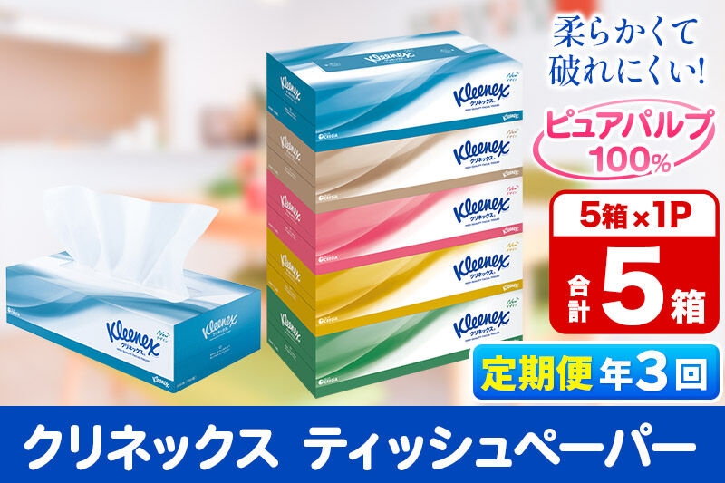 
            《4ヶ月ごとに3回お届け》定期便  ティッシュペーパー クリネックス ティシュー 5箱×1パック 秋田市オリジナル 最短翌日発送
          