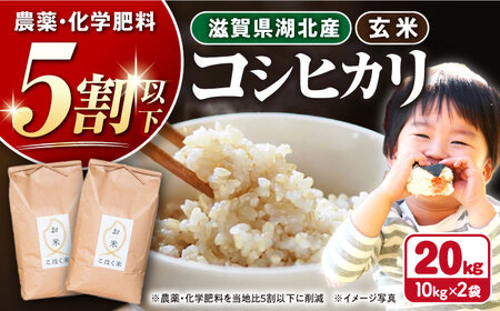 【令和7年産新米】減農薬米 近江米 湖北のコシヒカリ 玄米20kg[AQAK005] 玄米