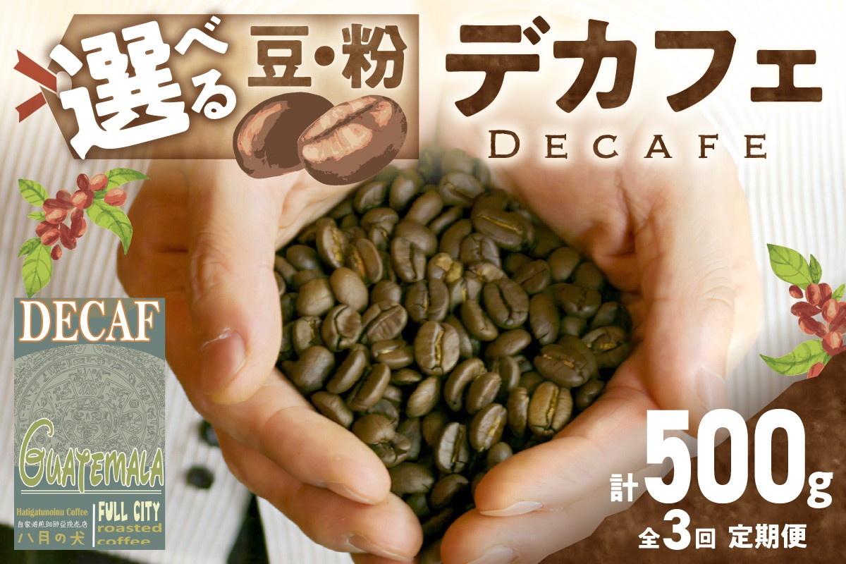 
                  デカフェ 定期便 全3回／自家焙煎　グアテマラ カフェインレスコーヒー豆 500g（250g×2）　2カ月に１回×3回お届け 八月の犬　デカフェ定期便・カフェインレス 定期便　ノンカフェイン 定期便・定期便珈琲豆　ドリップ　マタニティー　HA00030
                