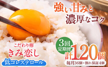 【3回定期便】きみ恋し 箱入り 40個（36個+割れ保証4個）×3ヶ月 総計120個 たまご 卵 玉子 タマゴ 鶏卵 濃厚 玉子焼き 卵焼き オムレツ たまごかけご飯 冷蔵 広川町/伊藤養鶏場 [AFAJ001]