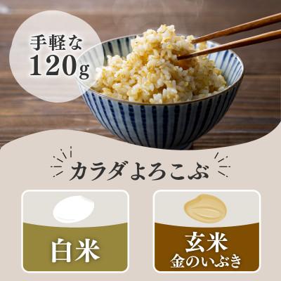 ふるさと納税 松原市 ご飯パック 金賞健康米 金のいぶき 120g×12個入り 国産 レンチン |  | 02