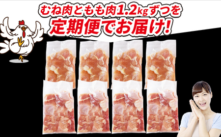 ＜宮崎県産若鶏切 2.4kg（むね肉 300g×4袋 もも肉 300g×4袋）6か月定期便＞ 申込み翌月から発送【 セット 詰め合わせ からあげ 唐揚げ カレー シチュー BBQ 煮物 チキン南蛮 小