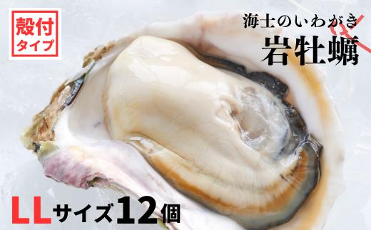 【のし付き】海士のいわがき 新鮮クリーミーな高級岩牡蠣 殻付きLLサイズ×12個 お歳暮
