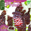 【ふるさと納税】【先行予約 数量限定】令和7年産 デラウェア 2kg 8～10房 種無し ぶどう【8月下旬～9月下旬頃お届け】2025年産 農家直送 産地直送 令和7年 小粒 種なし ブドウ 葡萄 フルーツ 果物 我妻観光果樹園 山形県 米沢市