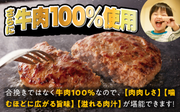 【全12回定期便】ジョイフル ハンバーグ スペシャル 詰め合わせ 3種 30個セット 《築上町》【株式会社 ジョイフル】 [ABAA044]