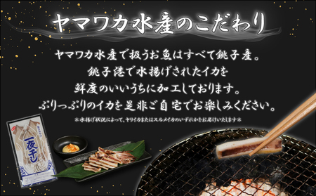 イカの一夜干し 2~4枚 (約350g) 一夜干し 一夜干し 一夜干し 一夜干し 一夜干し ヤマワカ水産