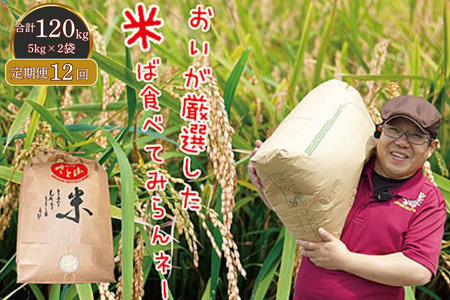 【定期便12回】三瀬村産「コシヒカリ」5kg×2袋 お米 白米 精米 ：C389-004
