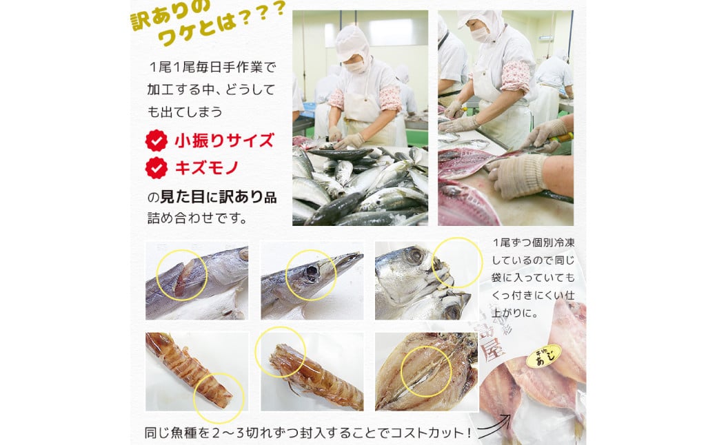 【全6回定期便】長崎加工 訳ありおまかせ干物 4種類(12枚) とカラスミ詰め合わせ ／ 干物 珍味 魚介 海鮮 魚 からすみ 詰め合わせ セット 冷凍 九州 長崎県 長崎市