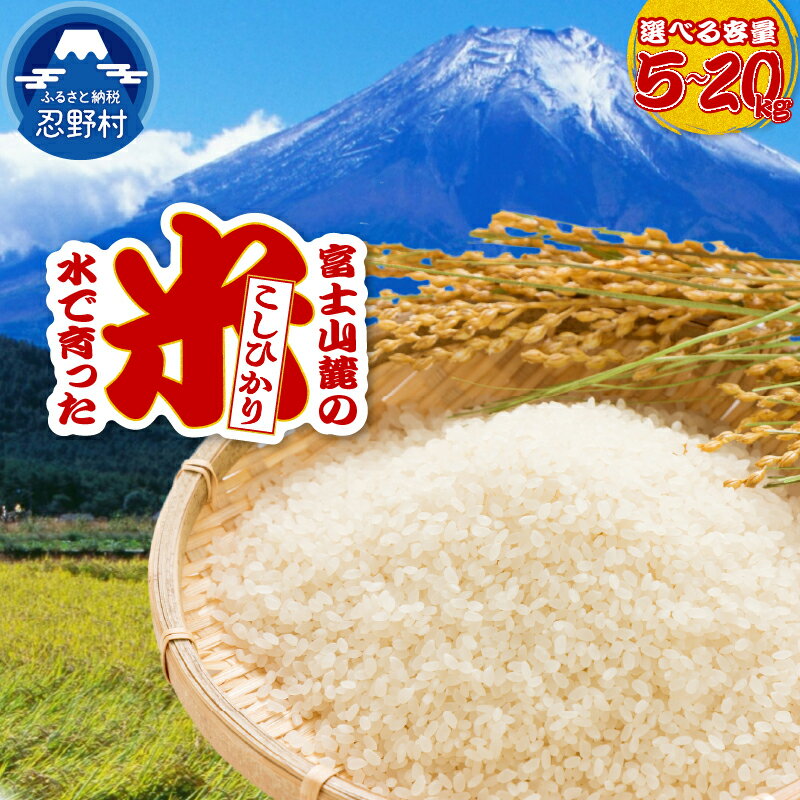 【ふるさと納税】 【新米先行予約】 【数量限定】 コシヒカリ 白米 米 5kg 10kg 20kg 山梨県 忍野村産 令和8年度産 お米 精米 こめ コメ 送料無料 忍野村