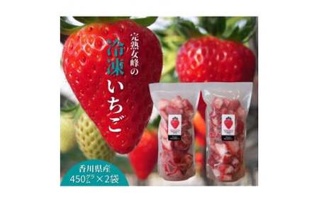 【苺ファーム森本】完熟女峰の冷凍いちご　450g×2袋　≪　IDOMALL　セレクト≫_mk048-010
