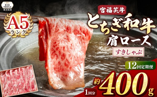 【栃木県共通返礼品】【定期便12回】宮福笑牛(とちぎ和牛) A5 肩ロースすきしゃぶ 約400g  | 黒毛 和牛 牛肉 焼肉 とろける 霜降り 赤身 切り落とし ふるさと 納税 イチオシ おすすめ 栃木県 下野市 しもつけ市