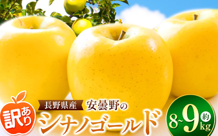 *【2025年先行予約】訳あり シナノゴールド 約8～9kg ｜ 東印平林農園 リンゴ りんご 林檎 果物 フルーツ 果実 果汁 シナノゴールド しなのゴールド 家庭用 わけあり 訳アリ 長野県 松川村