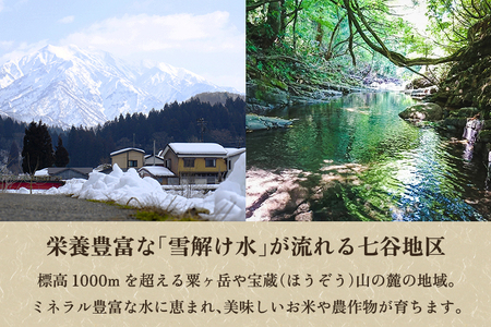 【令和8年産新米先行予約】【定期便6ヶ月毎月お届け】七谷産コシヒカリ 精米5kg《10月上旬～順次出荷》