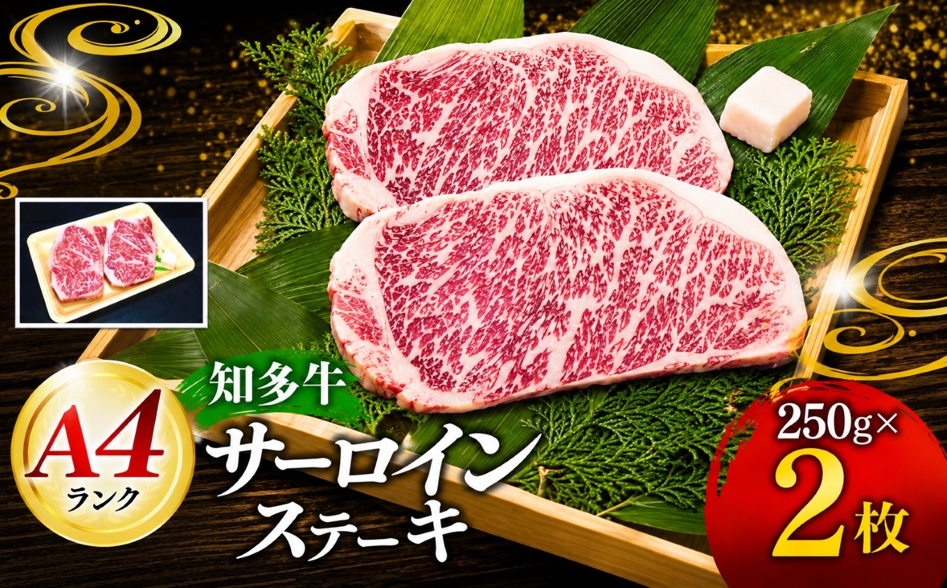 
                   知多牛 高級4等級 【サーロインステーキ】250g2枚 ※北海道・沖縄・離島への配送不可 | 牛 ウシ サーロイン ステーキ サーロインステーキ 肉 にく すてーき 4等級 霜降りサーロイン 霜降り 愛知県 美浜町
                