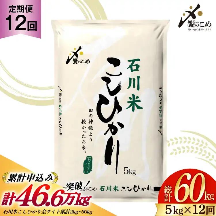 米 定期便 石川米 こしひかり 5kg × 12回