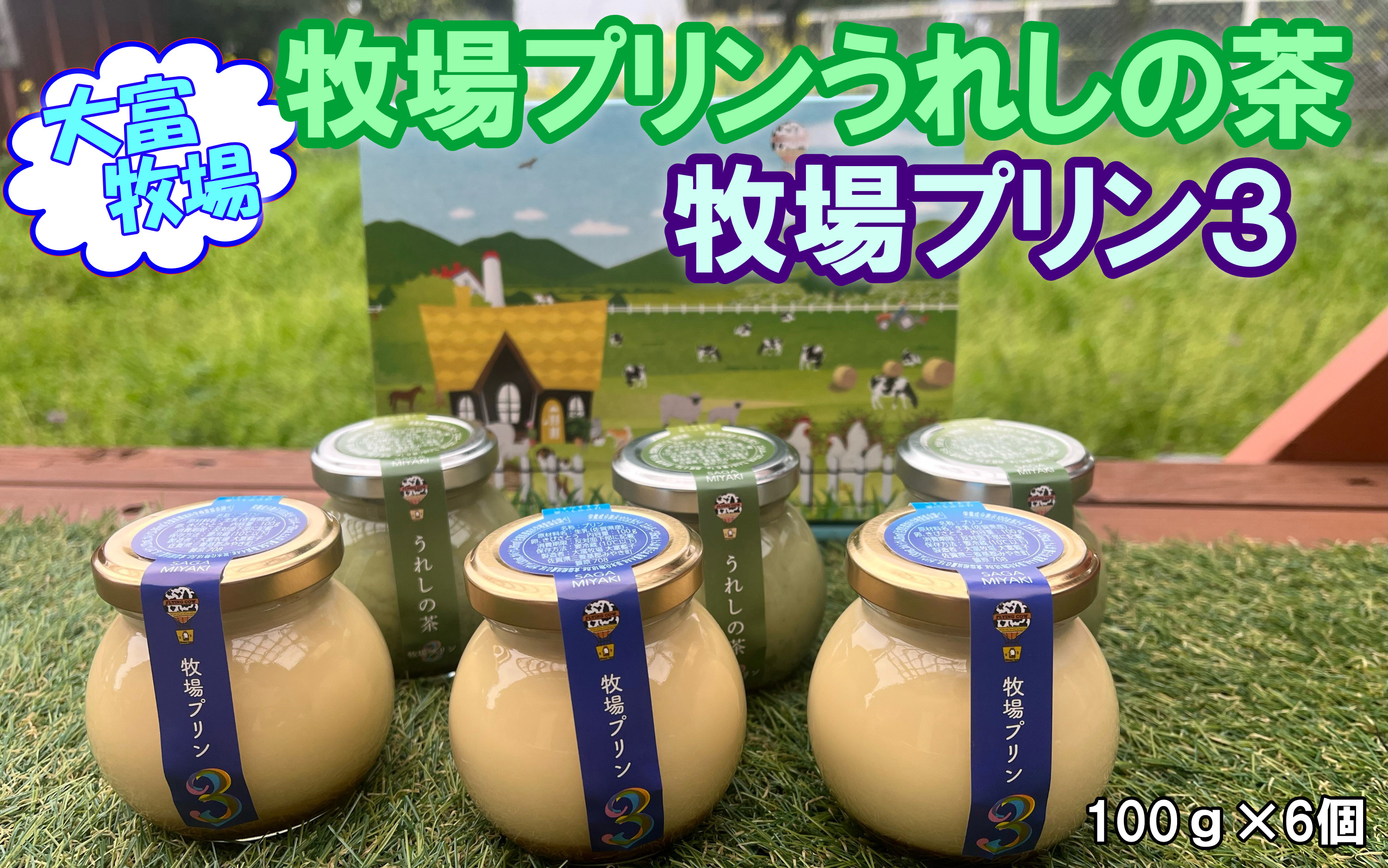 
            【セット】大富牧場(B3U3)牧場プリン3と牧場プリンうれしの茶
          