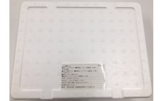 わら焼鰹たたき 1250g | 5567299 | 鰹 赤身 魚 刺身 お刺身 海鮮 冷凍 藁焼き たたき 明豊 宮城県 塩竃市