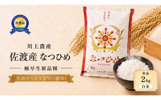 【なつひめ 2kg】令和8年産 佐渡産なつひめ 2kg 精米 川上農産 | 新潟県産なつひめ 新潟産なつひめ 新潟なつひめ 佐渡島産なつひめ 佐渡産なつひめ お米 米 なつひめ ナツヒメ 白米 精米 おこめ コメ 2キロ 小分け にいがた さど 新潟県 佐渡市