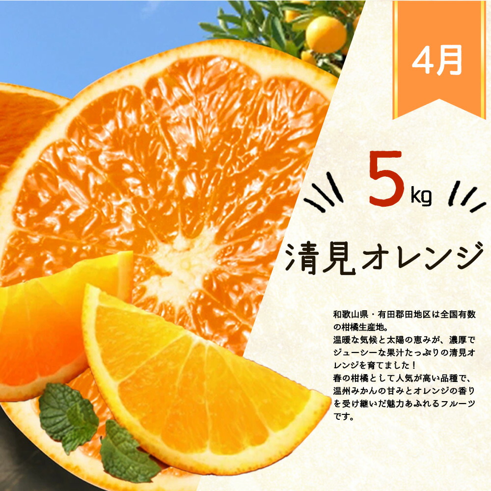 G60-T44_【定期便 全3回】紀州和歌山産旬の柑橘セット（みかん・紀州デコ・清見）