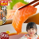 ＼発送時期が選べる／ シルバーサーモン （ 銀鮭 ） 切り落とし 900g 小分け 300g × 3パック サーモン 鮭 刺身 魚介類 魚 海鮮 和食 洋食 ご飯のお供 サラダ カルパッチョ 食品 お取り寄せ グルメ 関西 大阪府 泉佐野市 冷凍 送料無料