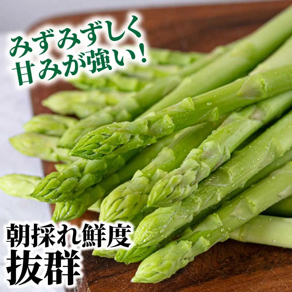 【ふるなびWEEK対象】【2026年5月下旬-発送】星の アスパラ / グリーンアスパラガス 1kg[SEY001] 