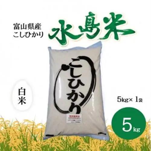 栽培期間中農薬・化学肥料不使用　こしひかり　白米 5kg×1袋(5kg)【1735134】