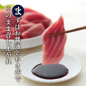 定期便 天然本まぐろ 6回お届け (b300-015)