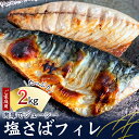 【ふるさと納税】 塩サバ サバ 塩さば フィレ 家庭用 定期便 全3回 2kg × 3 計6kg さば 鯖 切り身 切身 人気 魚 海鮮 焼き魚 焼魚 おかず ジューシー ふっくら 送料無料 和歌山県 北山村