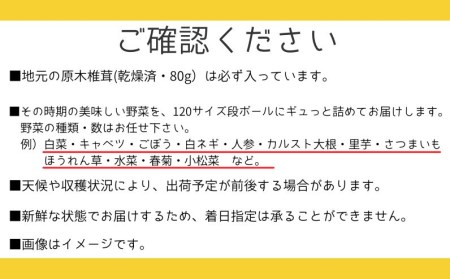 新見市産 冬の野菜詰め合わせセット【11月中旬～1月中旬発送】
