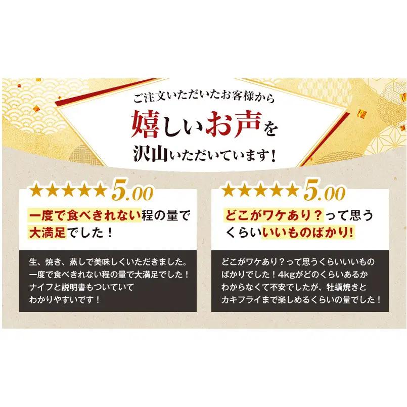 4月～8月 定期便 訳あり 牡蠣 北海道厚岸産 殻付カキ 約4kg (25から50個) カキナイフ付 生食 生牡蠣 貝付き牡蠣 貝 海鮮 魚介類 殻付き牡蠣 マルえもん