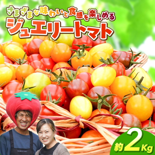 【2027年発送】増量約2kg！まるでトマトの宝石箱！フルーツジュエリートマト 4月～6月発送 長田農園 産地直送 カラフル トマト とまと 野菜 やさい フルーツ サラダ 濃厚 甘い ご褒美 プレゼント 美容 健康 リピート多数 人気 高評価 先行受付 数量限定 碧南市 H004-195