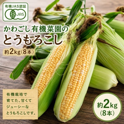【2027年3月上旬より順次発送】有機JAS認証 かわごし有機菜園のとうもろこし 約2kg(8本)【配送不可地域：離島】