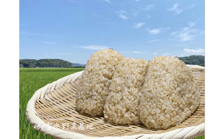 《令和7年産 新米》【お米番付優秀賞受賞農家】日本一粒の大きいお米『いのちの壱』玄米15kg